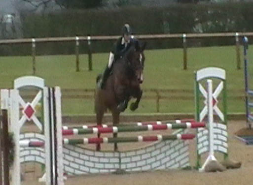 British Novice Marchington Show Arturo`s Whisker                                                                                                                                                                                                               